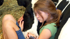 girl_and_cow_sleeping