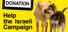 Donation - Help the Israeli Campaign Donation