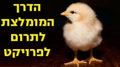 הדרך המומלצת לתרום לפרויקט