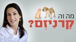 קרניזם: הפסיכולוגיה של אכילת בשר - דר' מלאני ג'וי