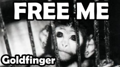 goldfinger-free-me