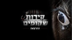 קירות שקופים - ההרצאה